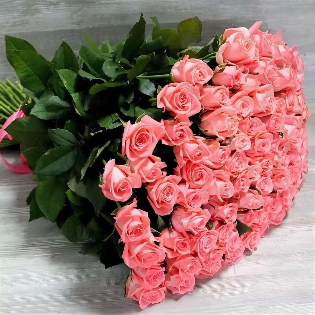 Роза Анна Карина букет