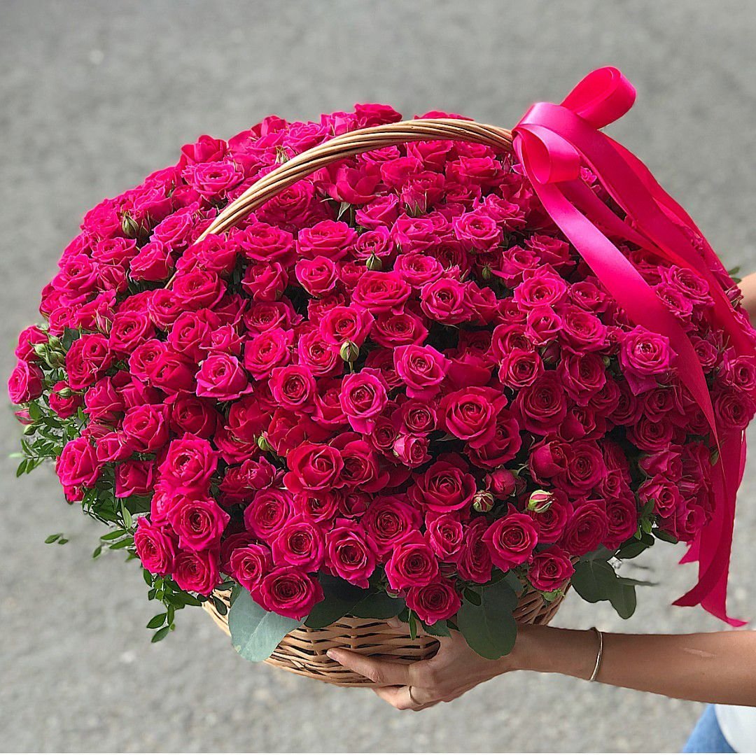 51 Кустовая роза малиновая