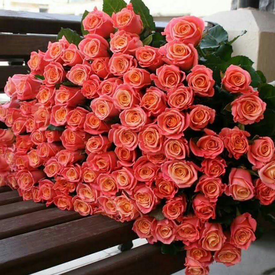 Кустовая роза вау