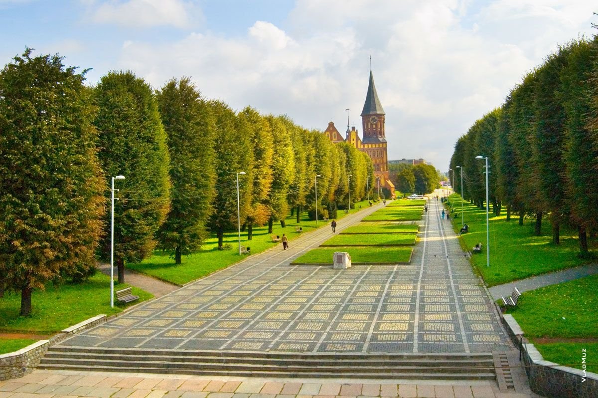 Калининград кафедральный собор аллея