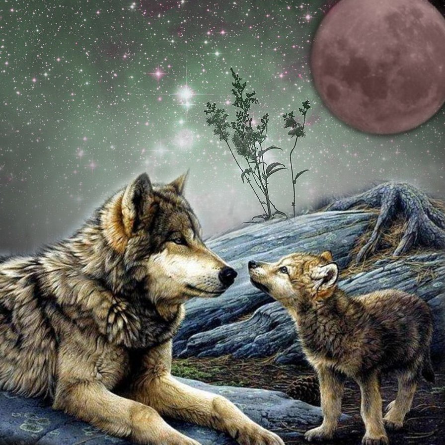 Волчица с волчатами