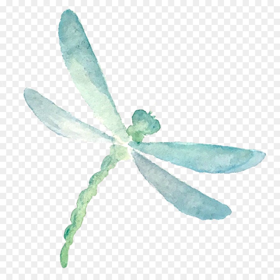 Стрекоза цветная