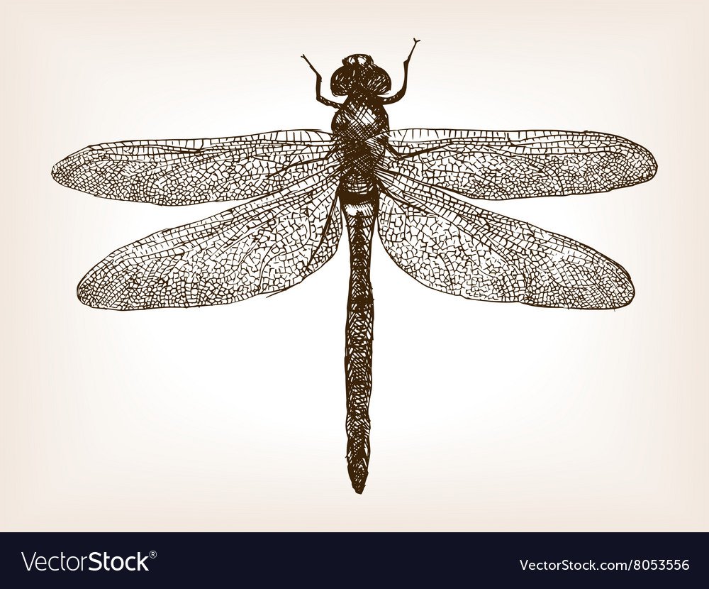 Волшебная Стрекоза