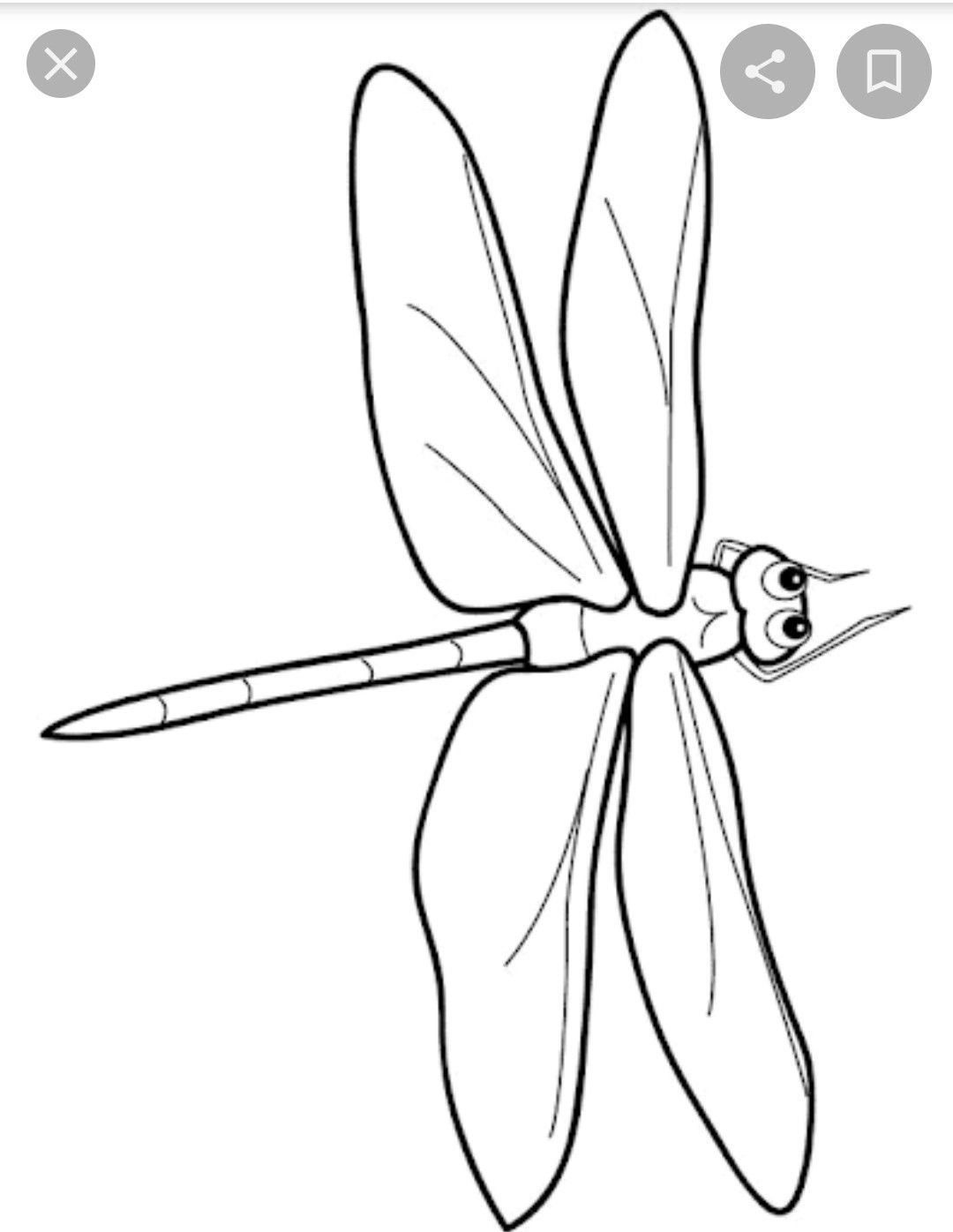 Красивая Стрекоза трафарет