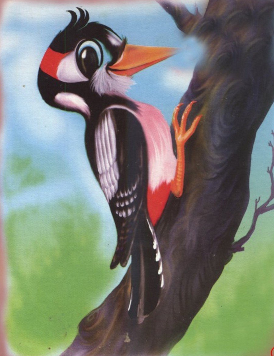 Дятел картинка для детей