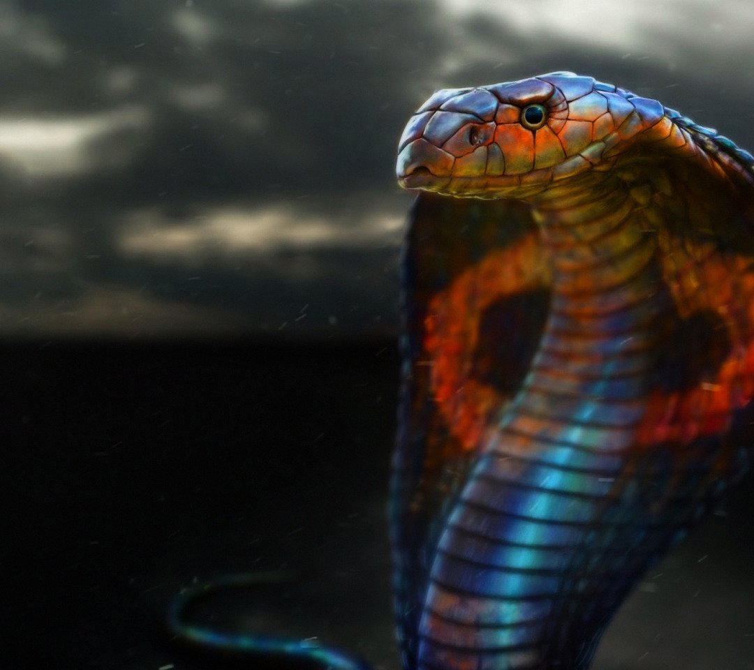 Королевская Кобра