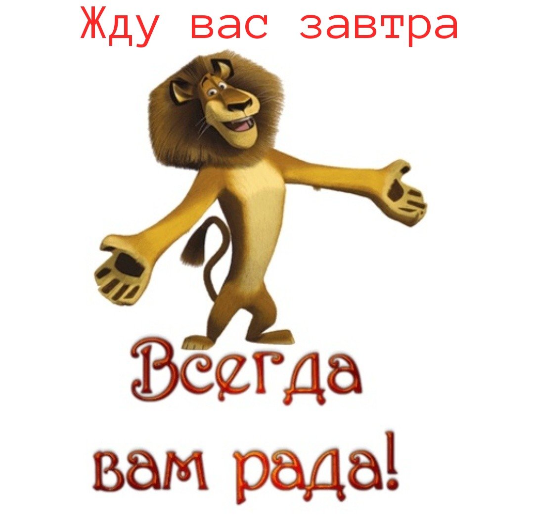 Мы всегда вам рады