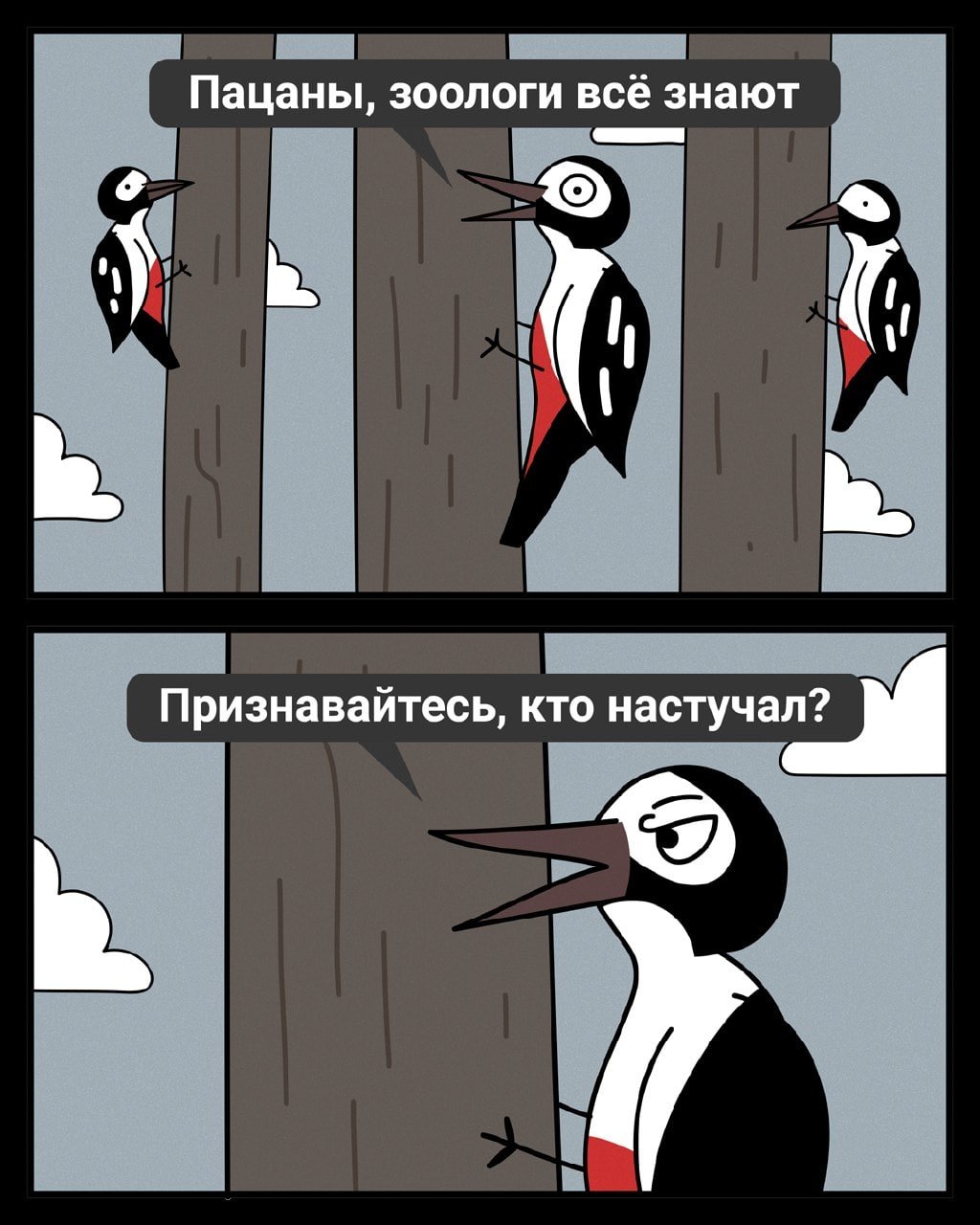 Дятел картинка