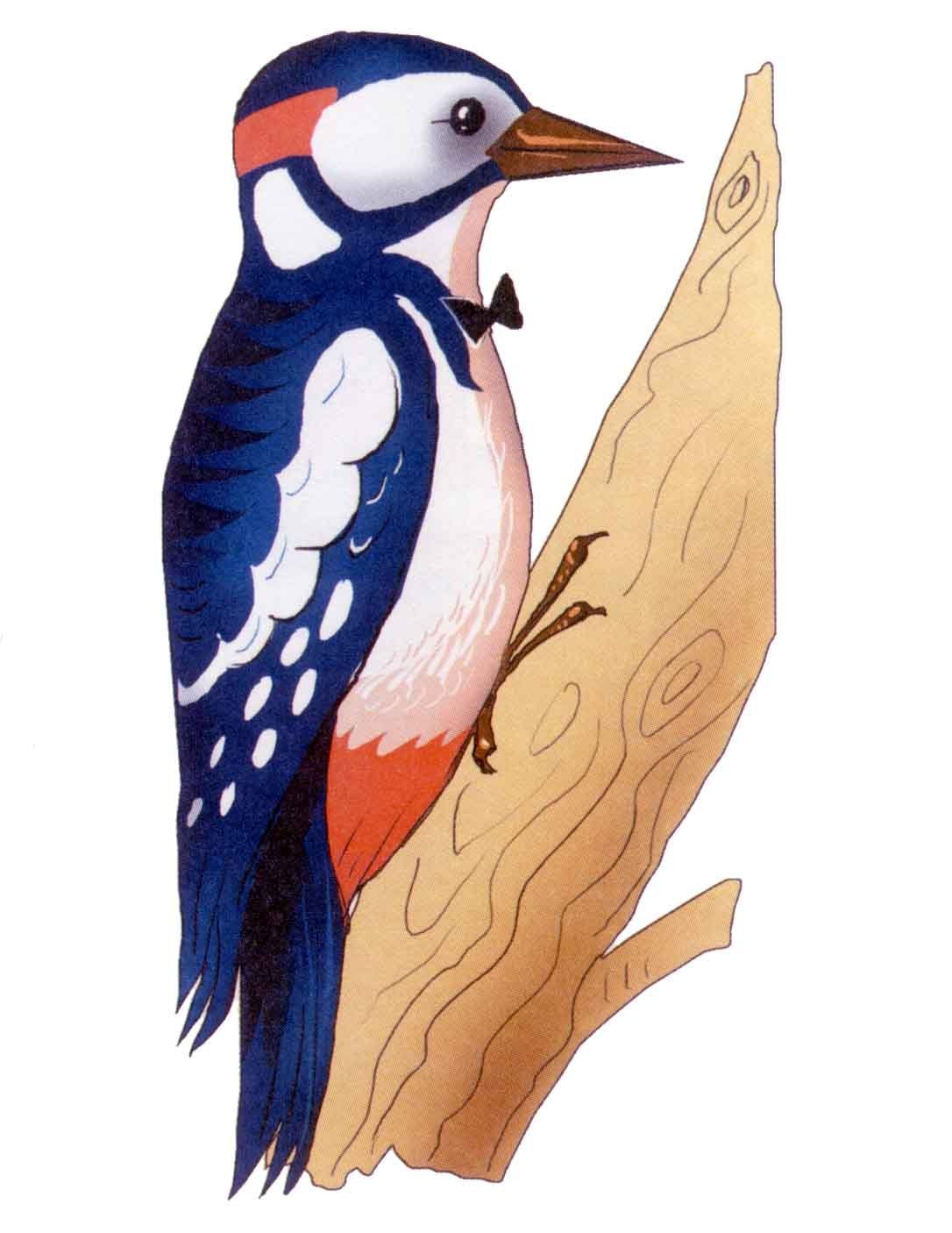 Дятел стучит по дереву