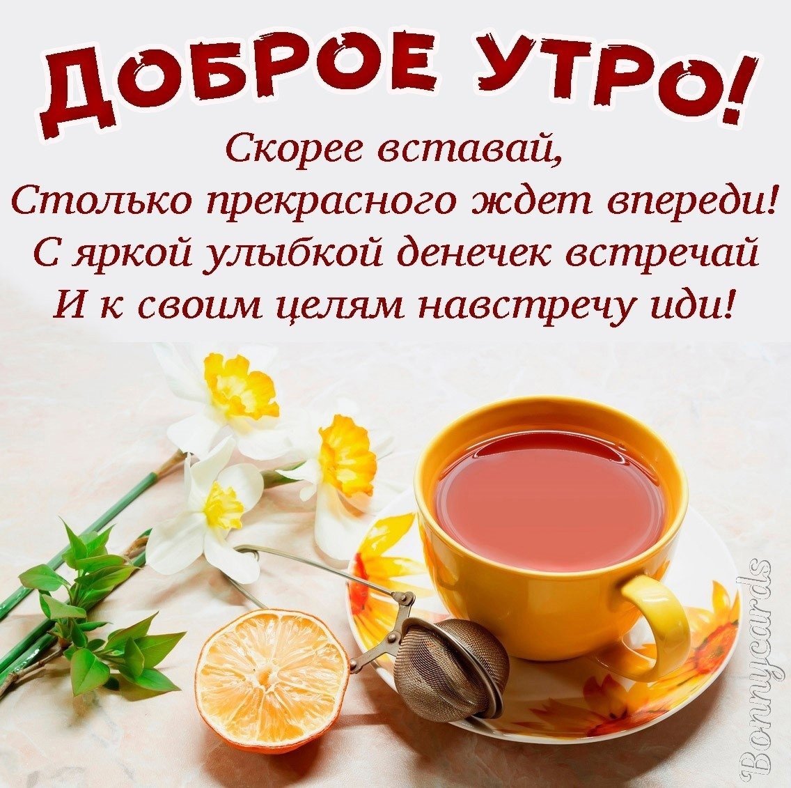 Проснулись с добрым утром