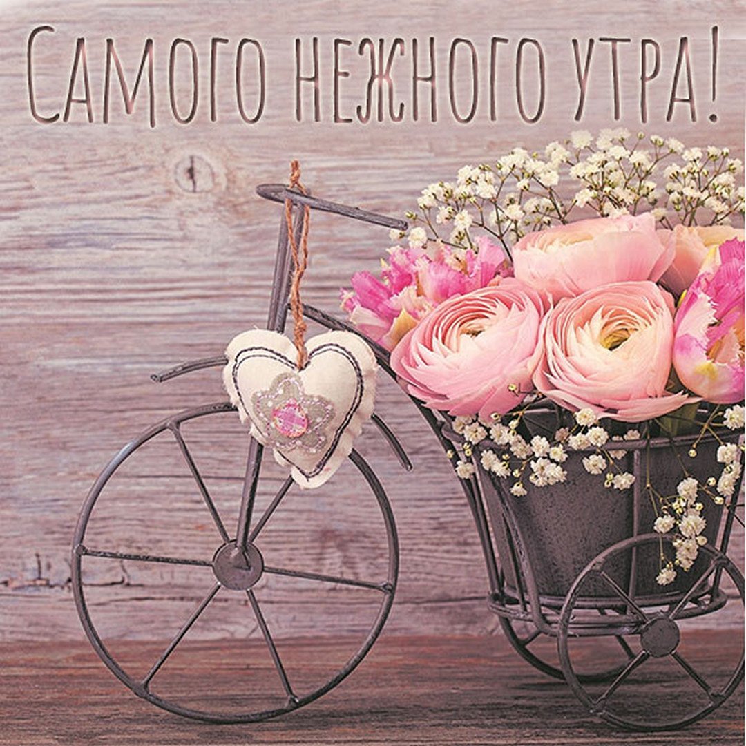 Милые открытки