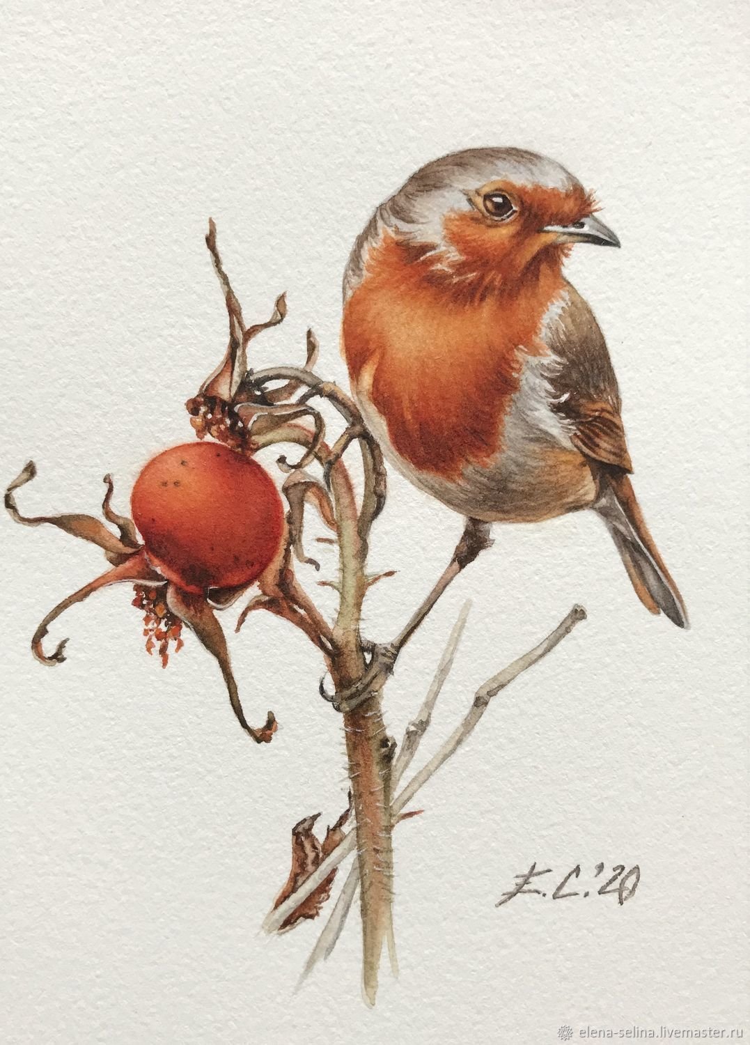 Елена Селина акварель