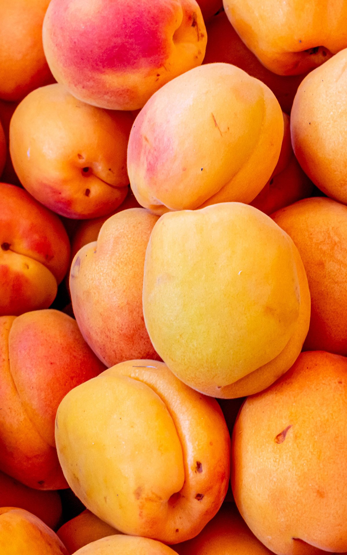 Обои на рабочий стол абрикосы