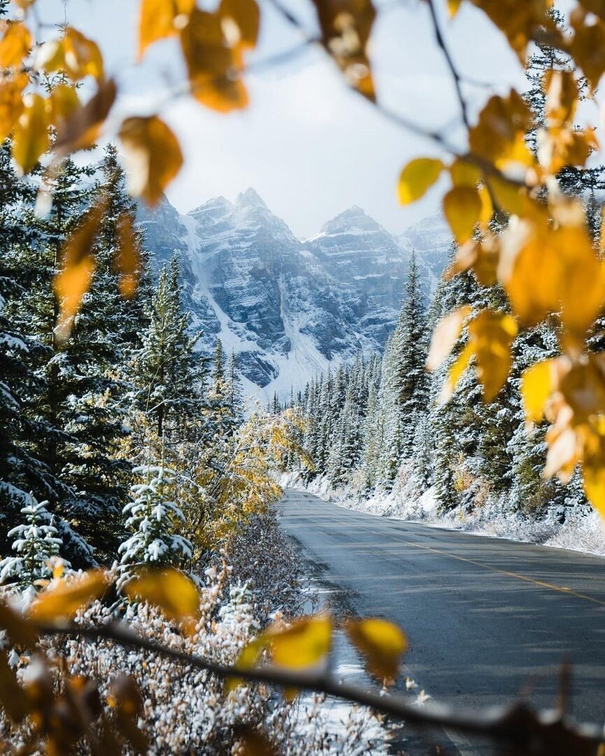 Поздняя осень фото