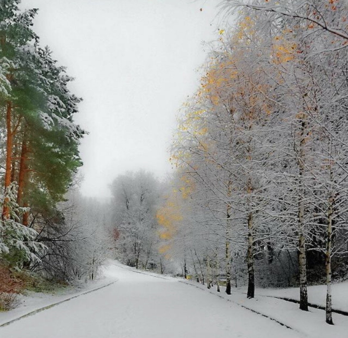 Декабрь природа