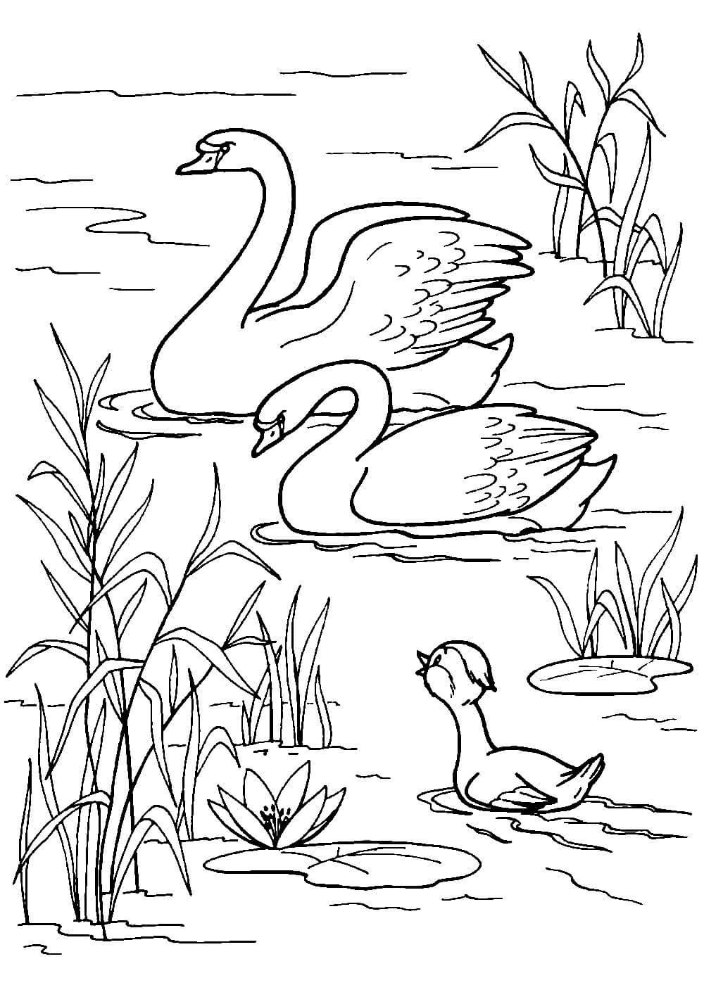 Ника Гольц Гадкий утенок