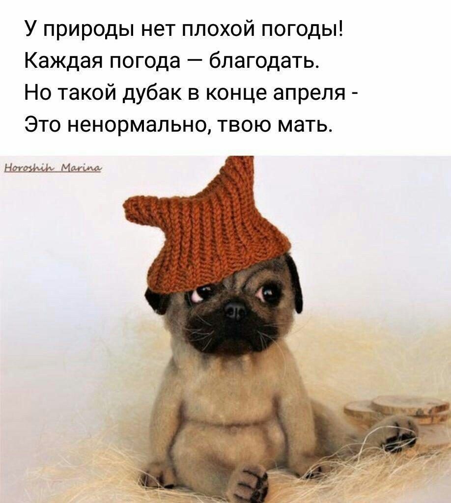 У природы нет плохой погоды доброе утро