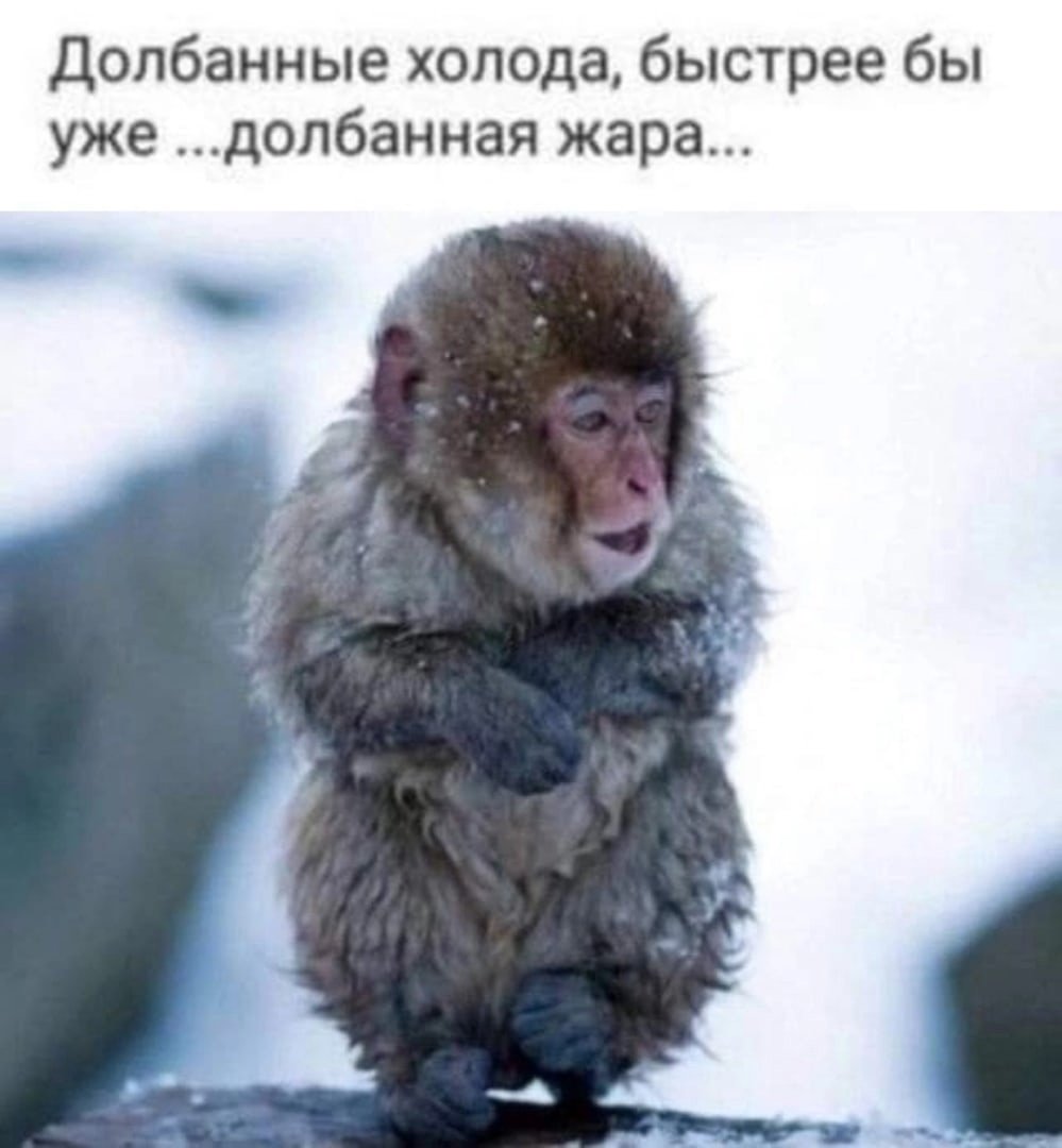 Надоели холода картинки