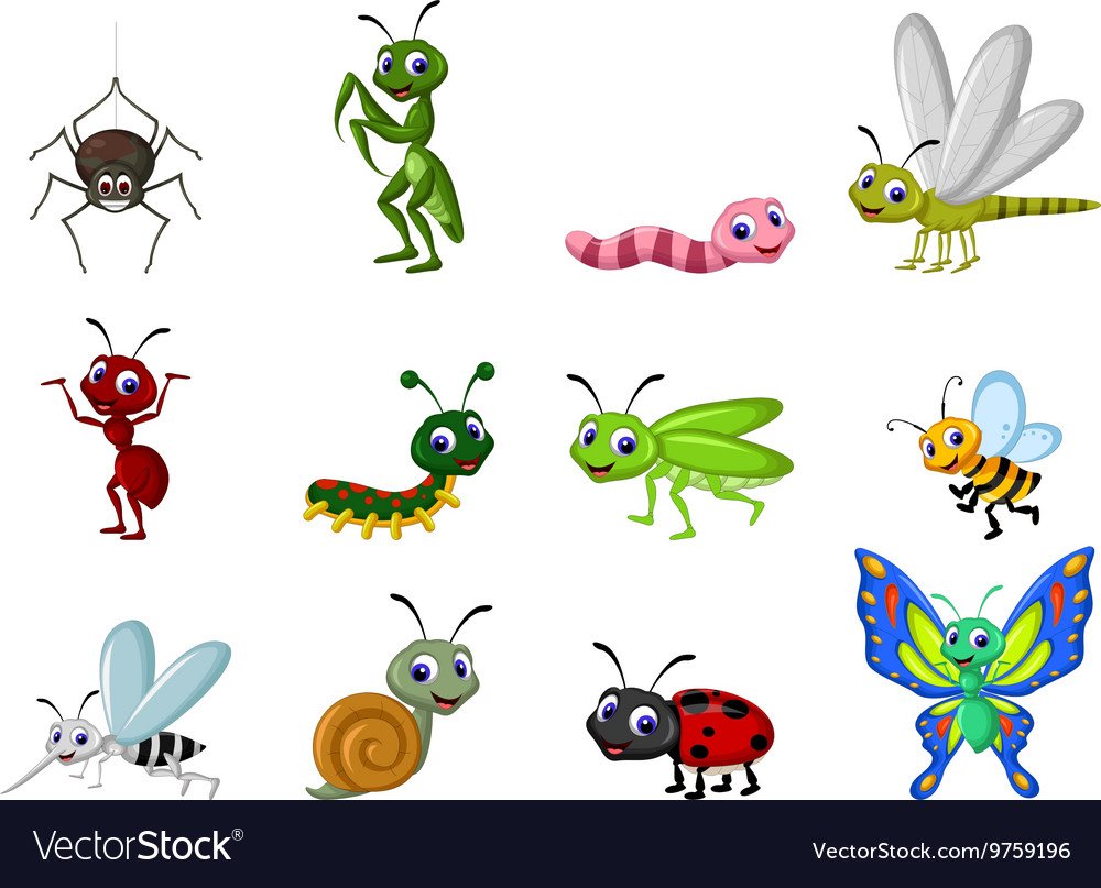Векторная иллюстрация насекомые