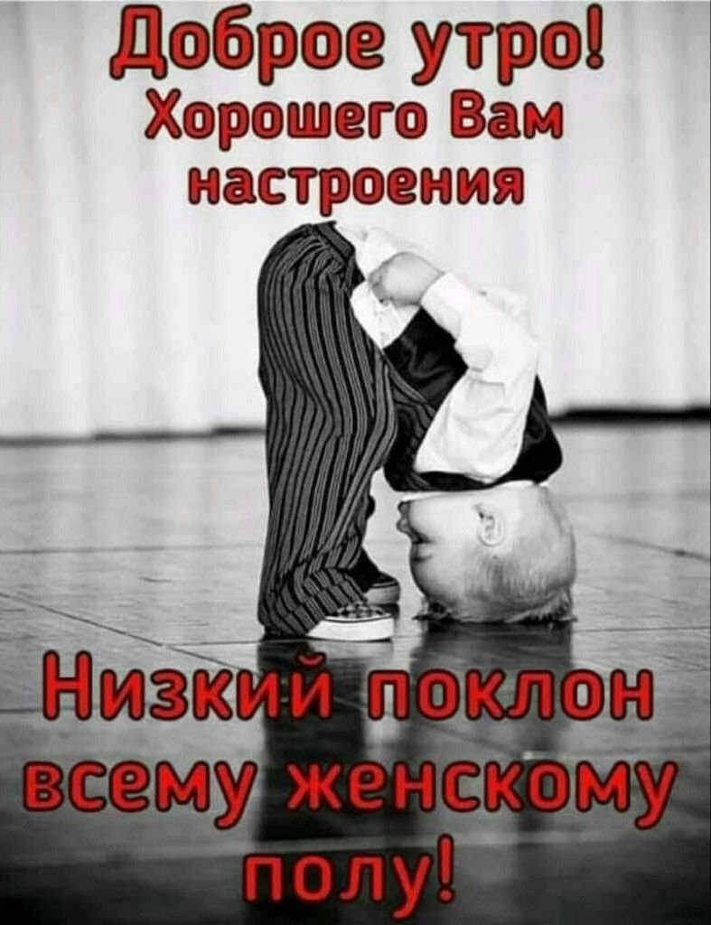 Низкий вам поклон