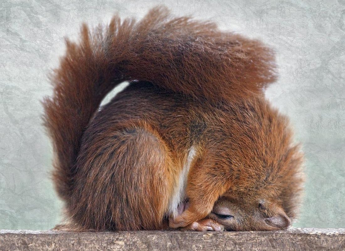 Поклон уважения