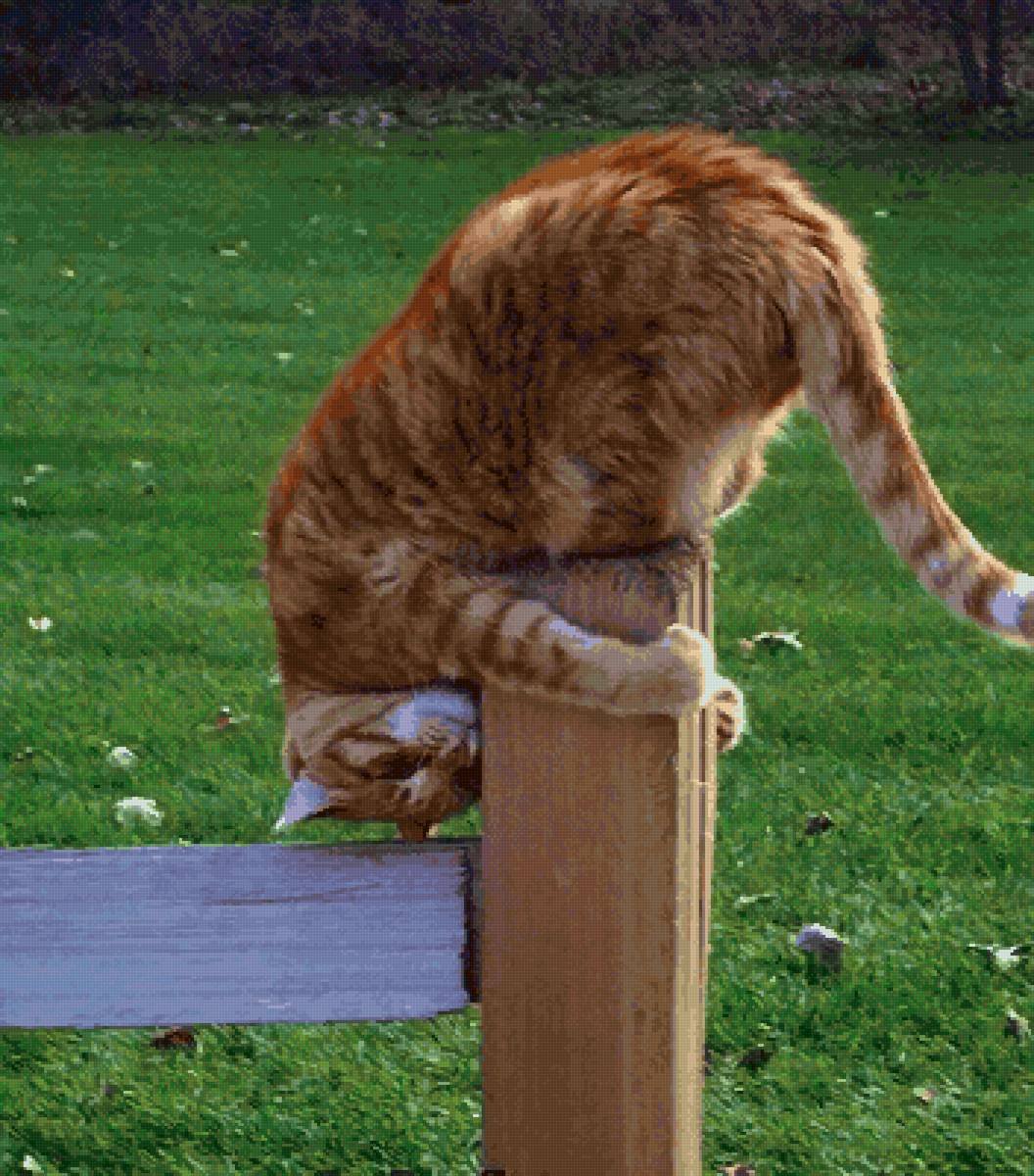 Поклон головой