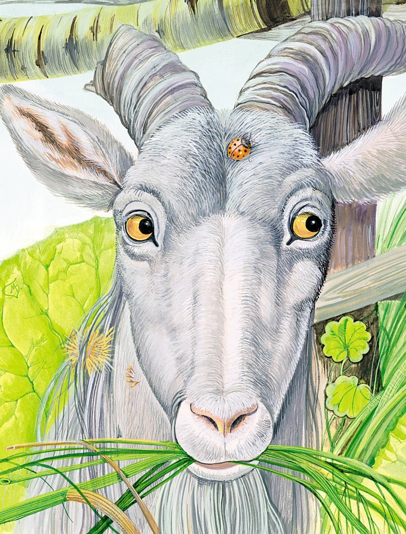 Сорочьи сказки толстой козел