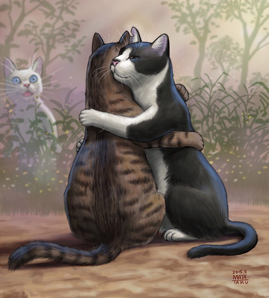 Влюбленные котики