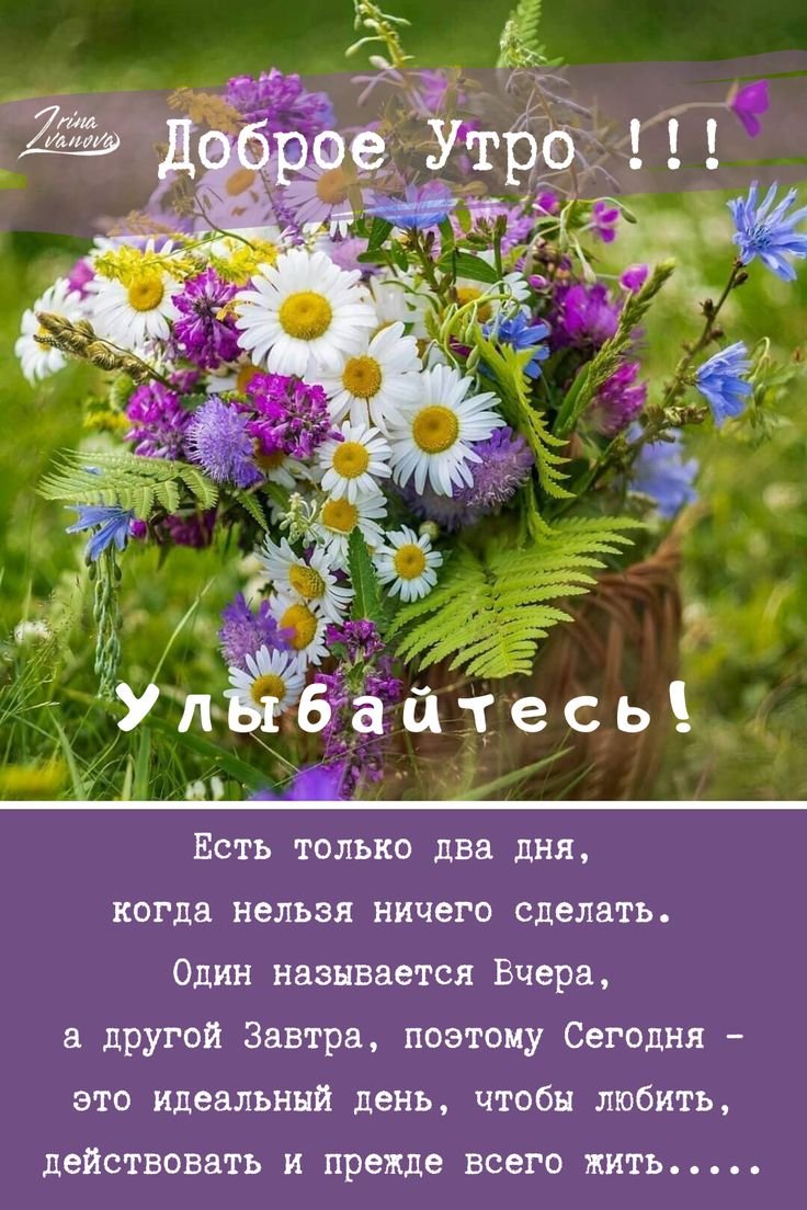 Смешные пожелания хорошего дня