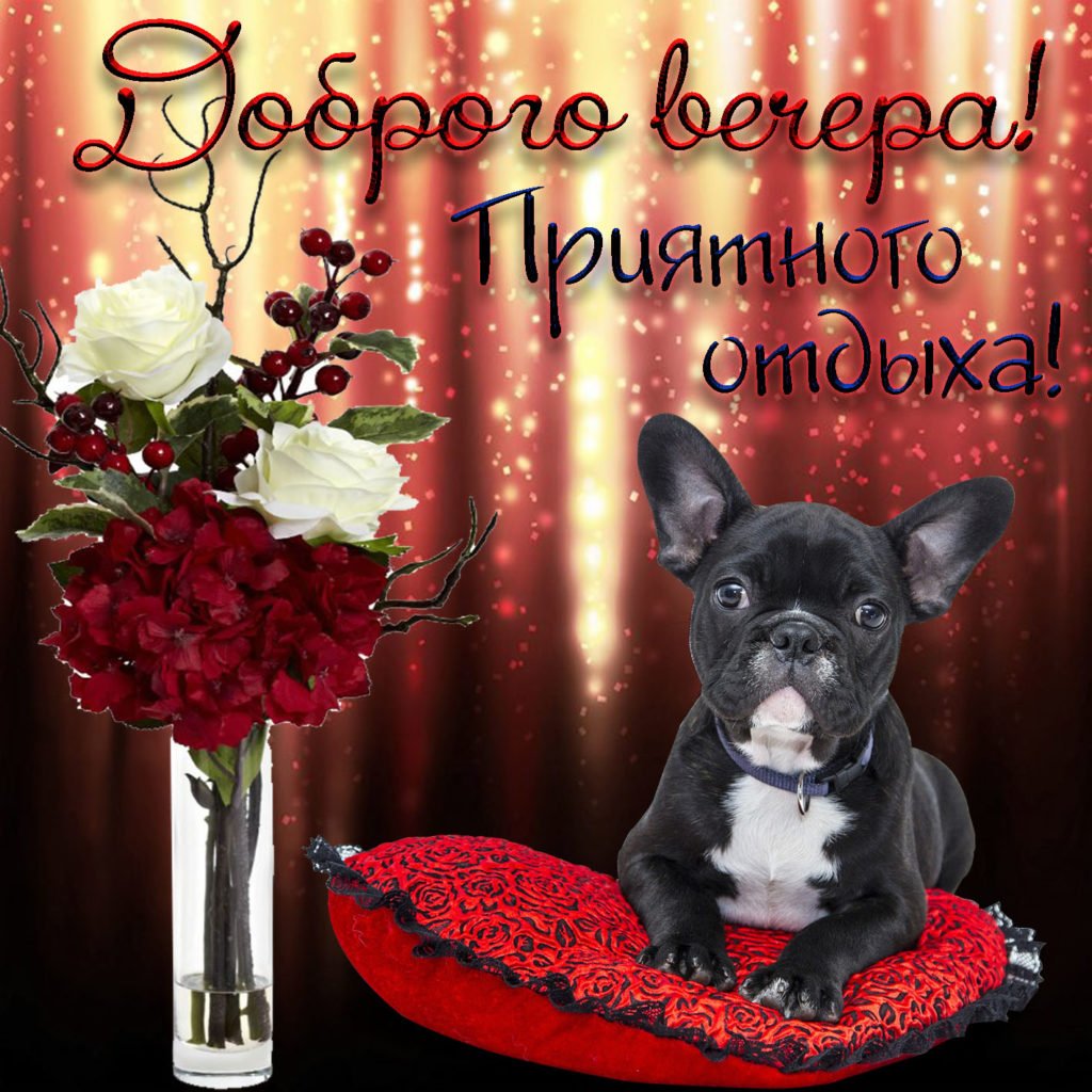 Красивые поздравления с добрым вечером