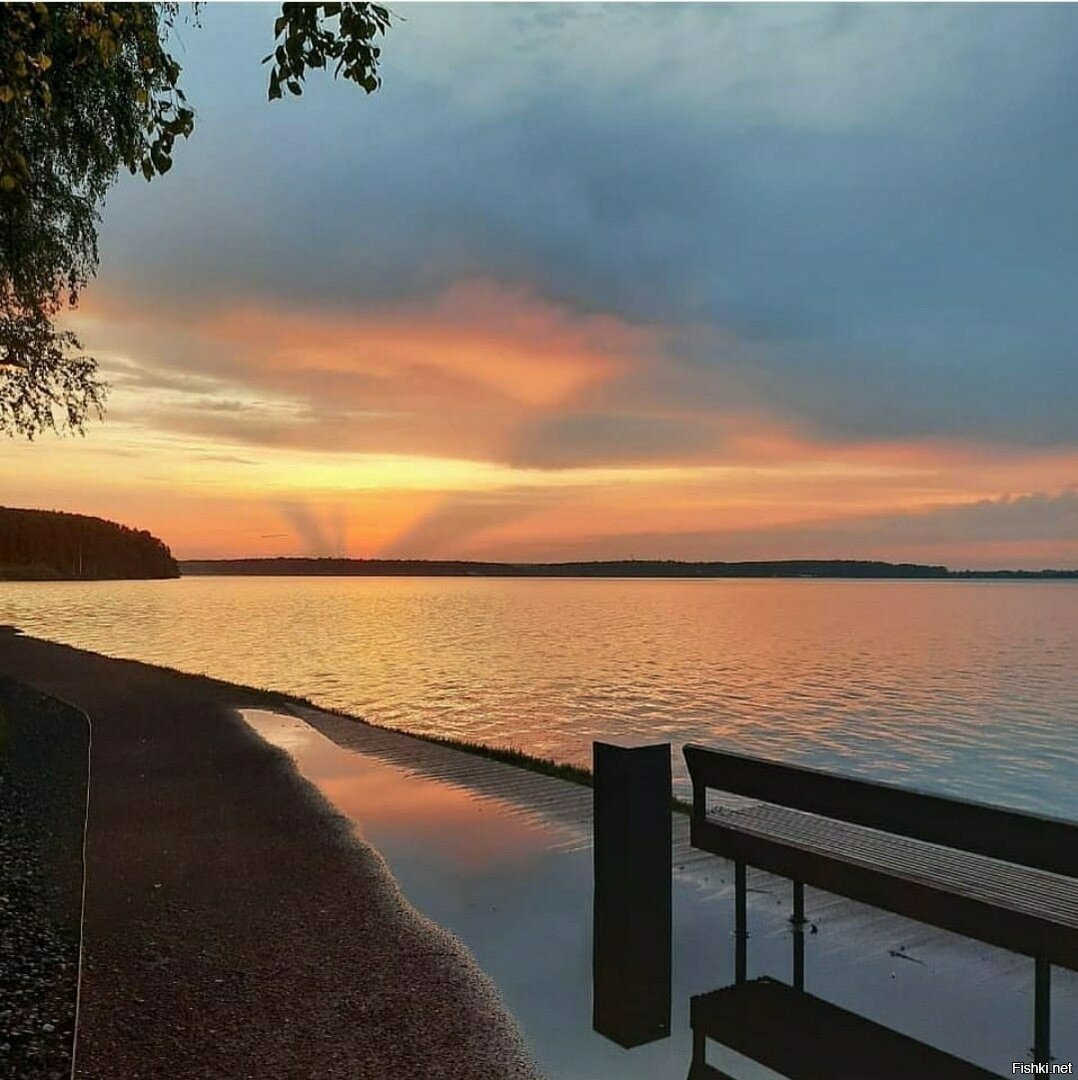 Михалина Новаковская 2020