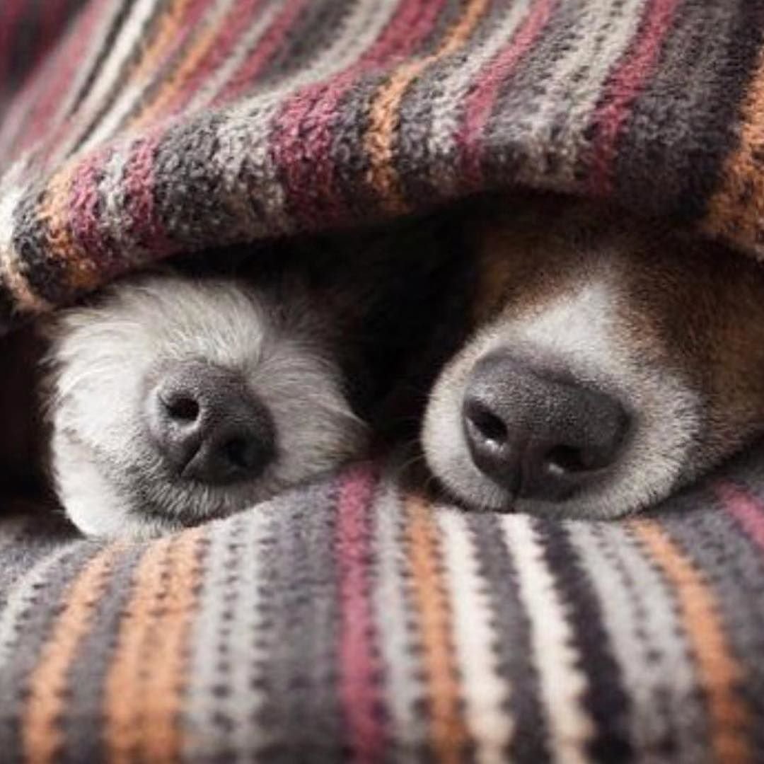 Открытки добрый вечер