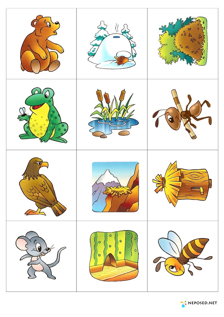 Игра "чей домик?"