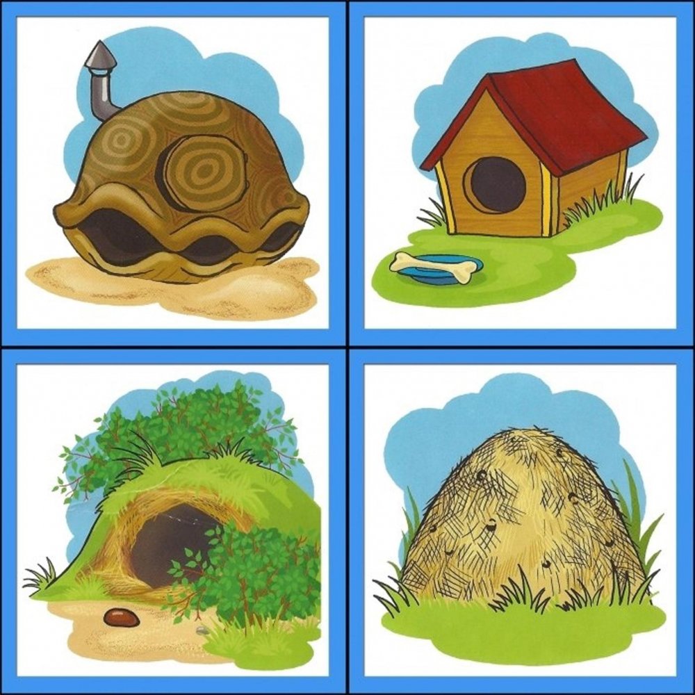 Кто в каком домике живет у кого какой домик