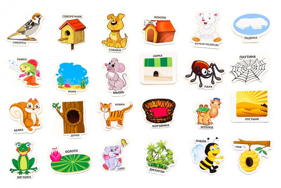 Кто где живет