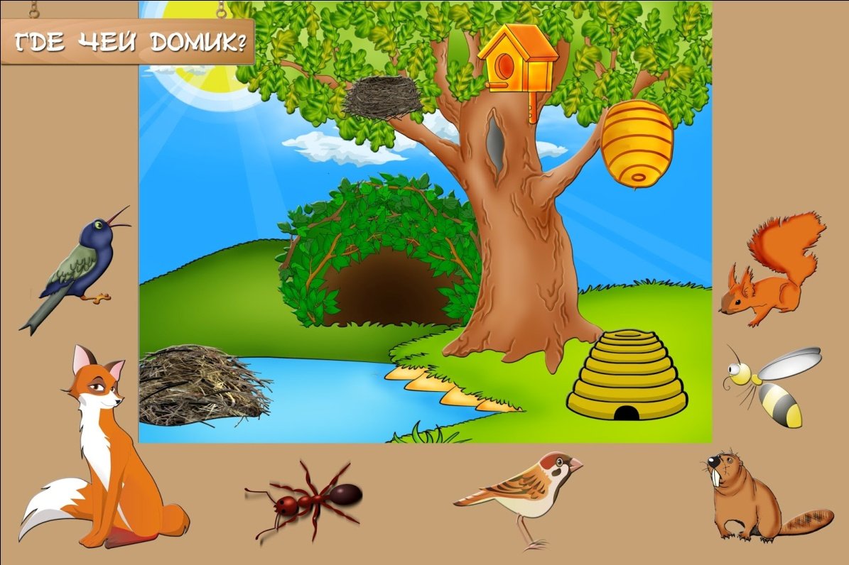 Кто чем питается дидактическая игра