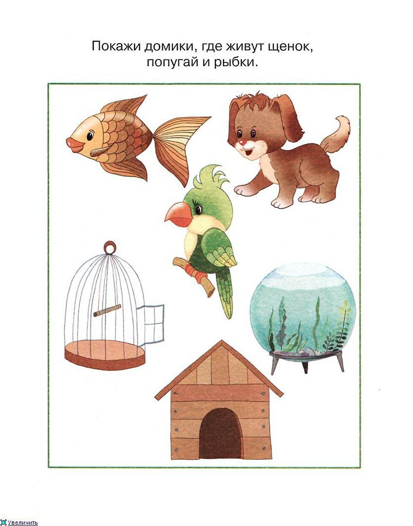 Игры по природе для дошкольников