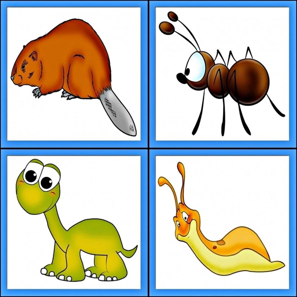 Дидактическая игра кто где живет