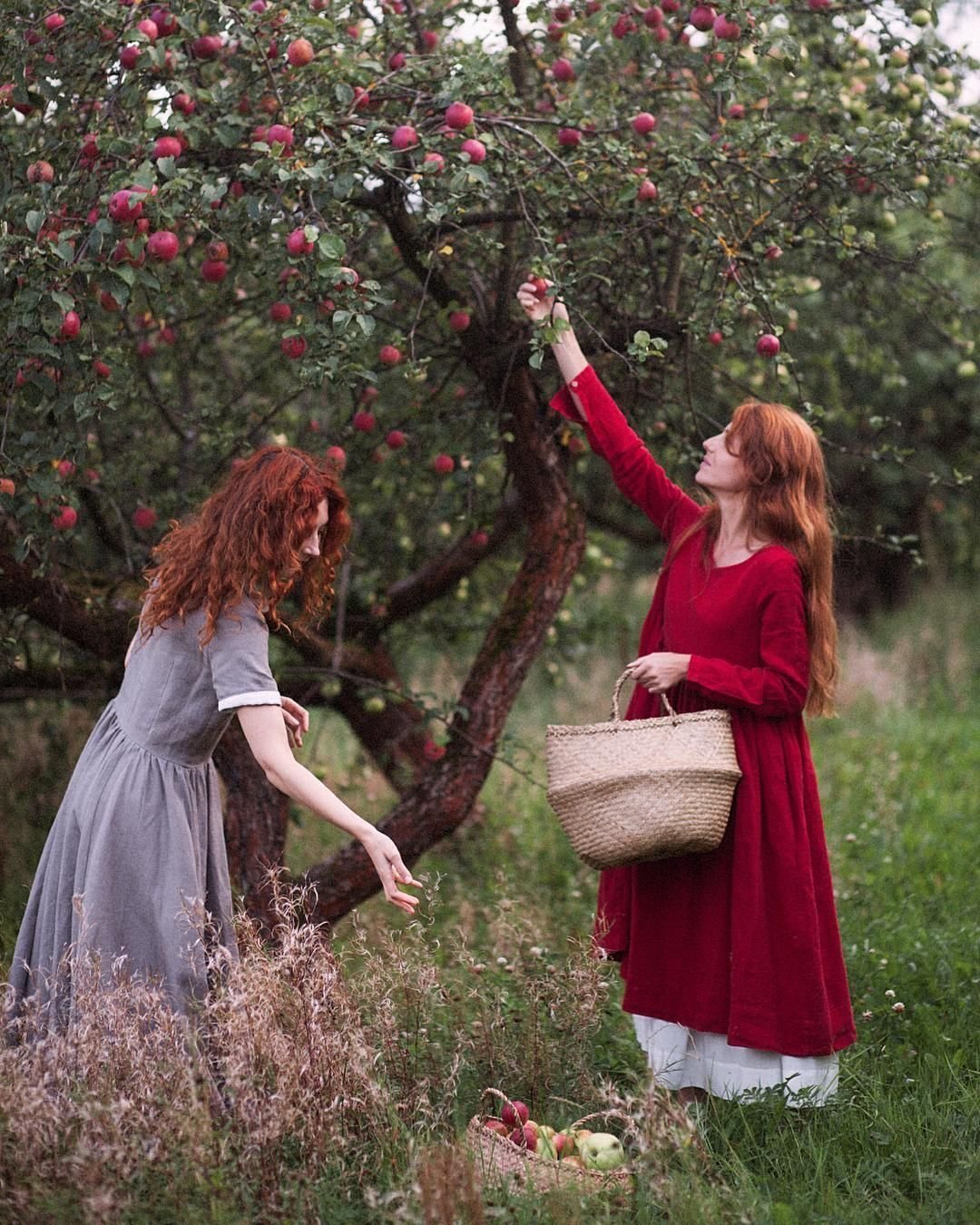 Осенний Яблоневый сад