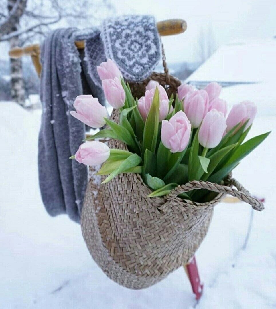 Какао с маршмеллоу в руках