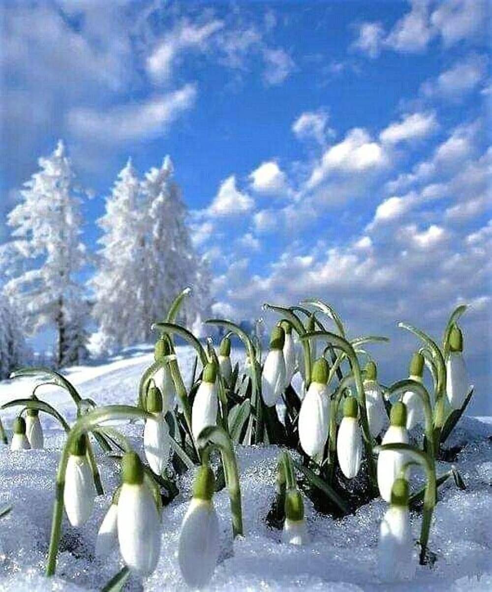 В марте зима картинки