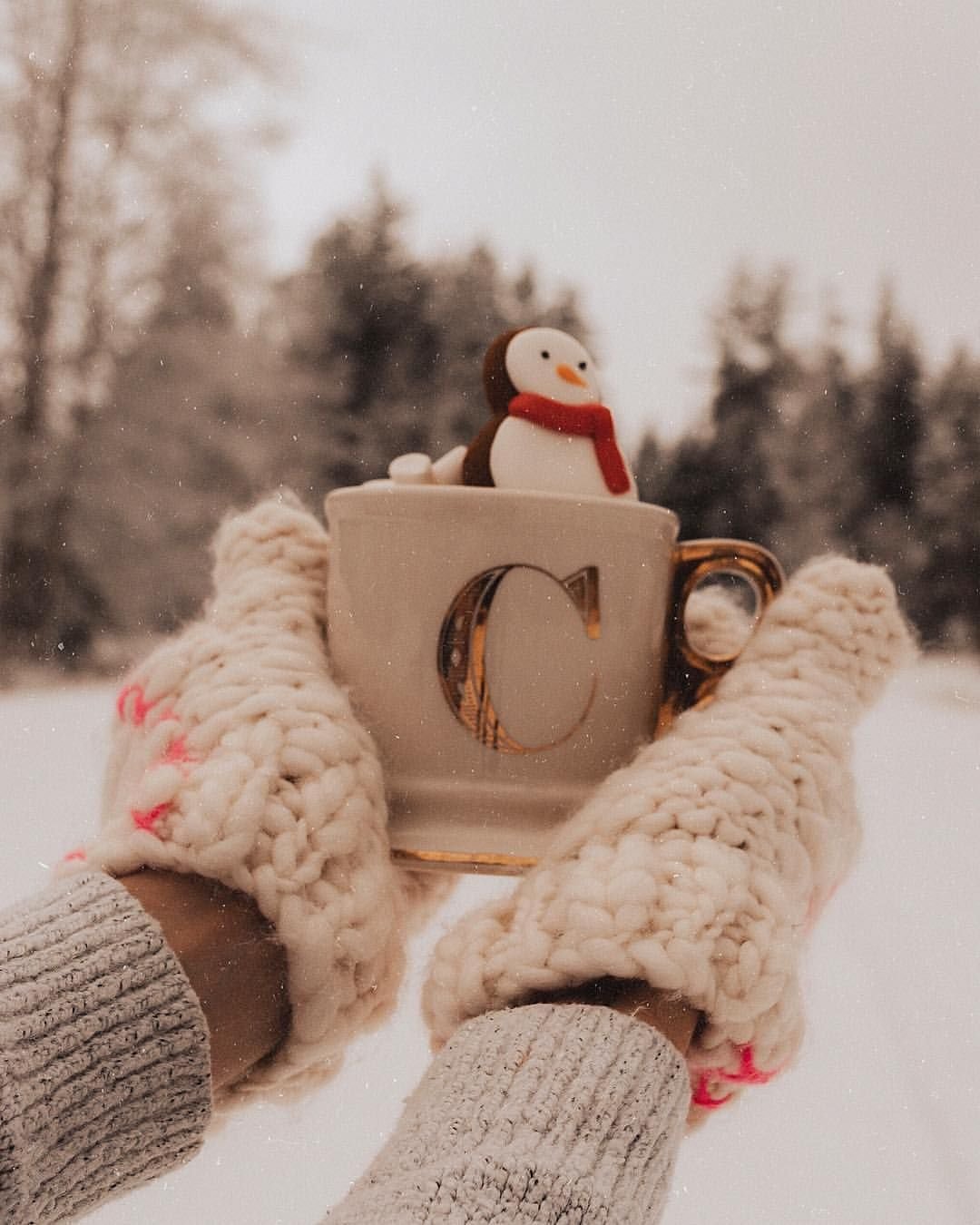 Аль Фитури Светлана