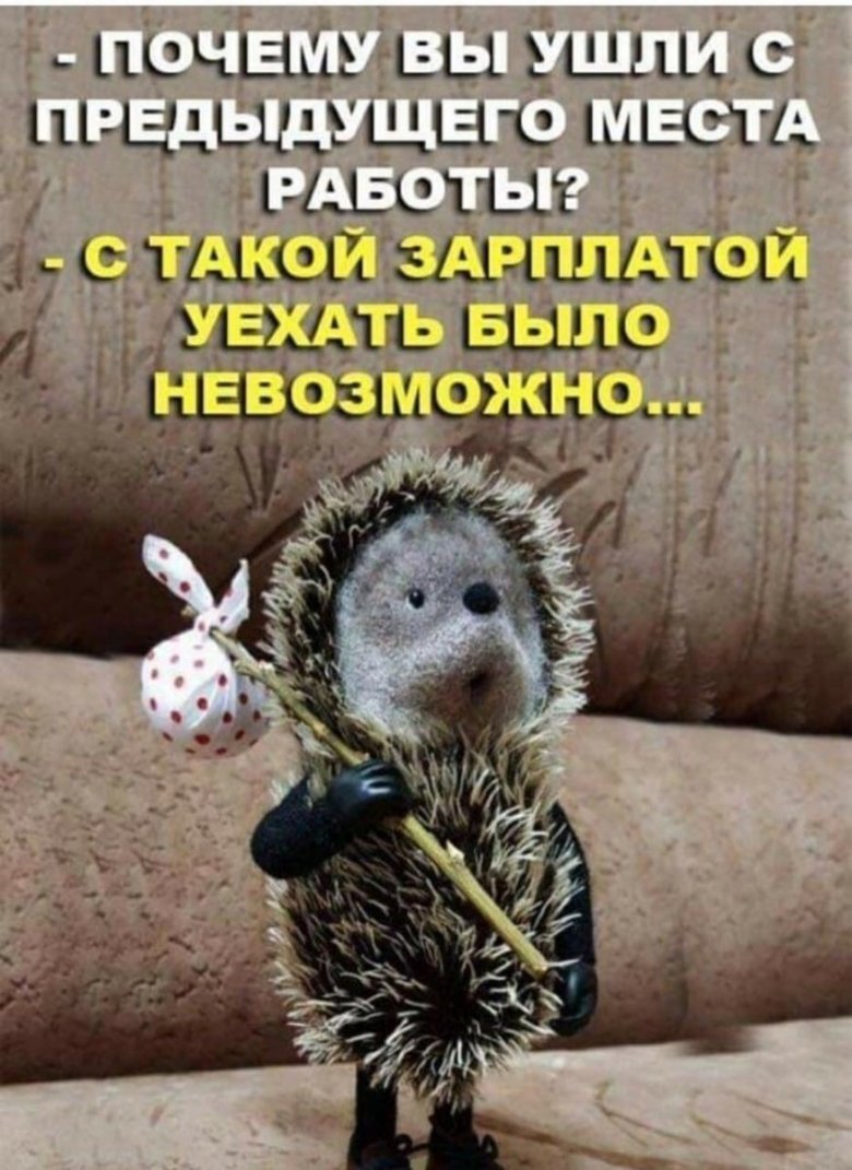 Ежик с котомкой