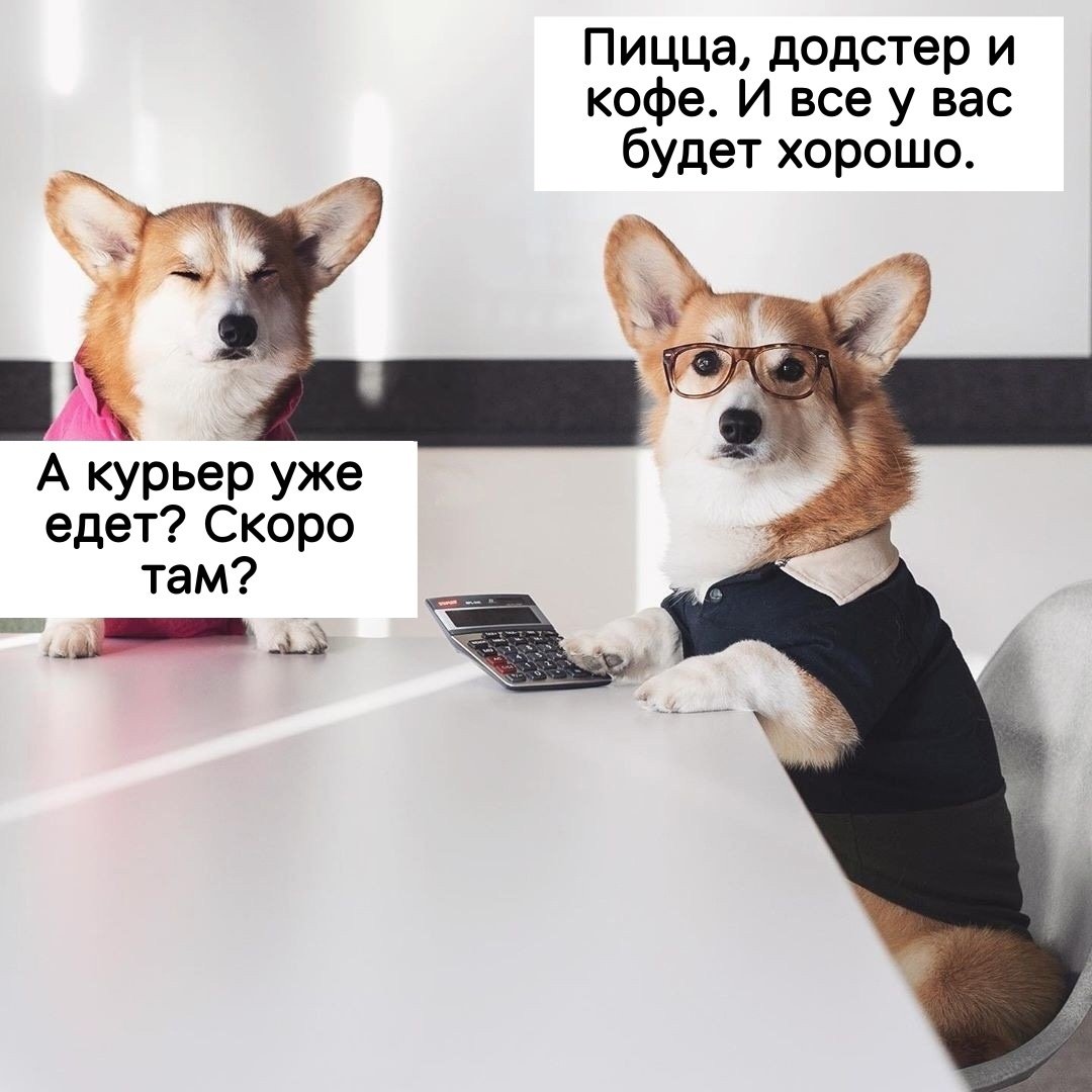 Мемы про собеседование на работу