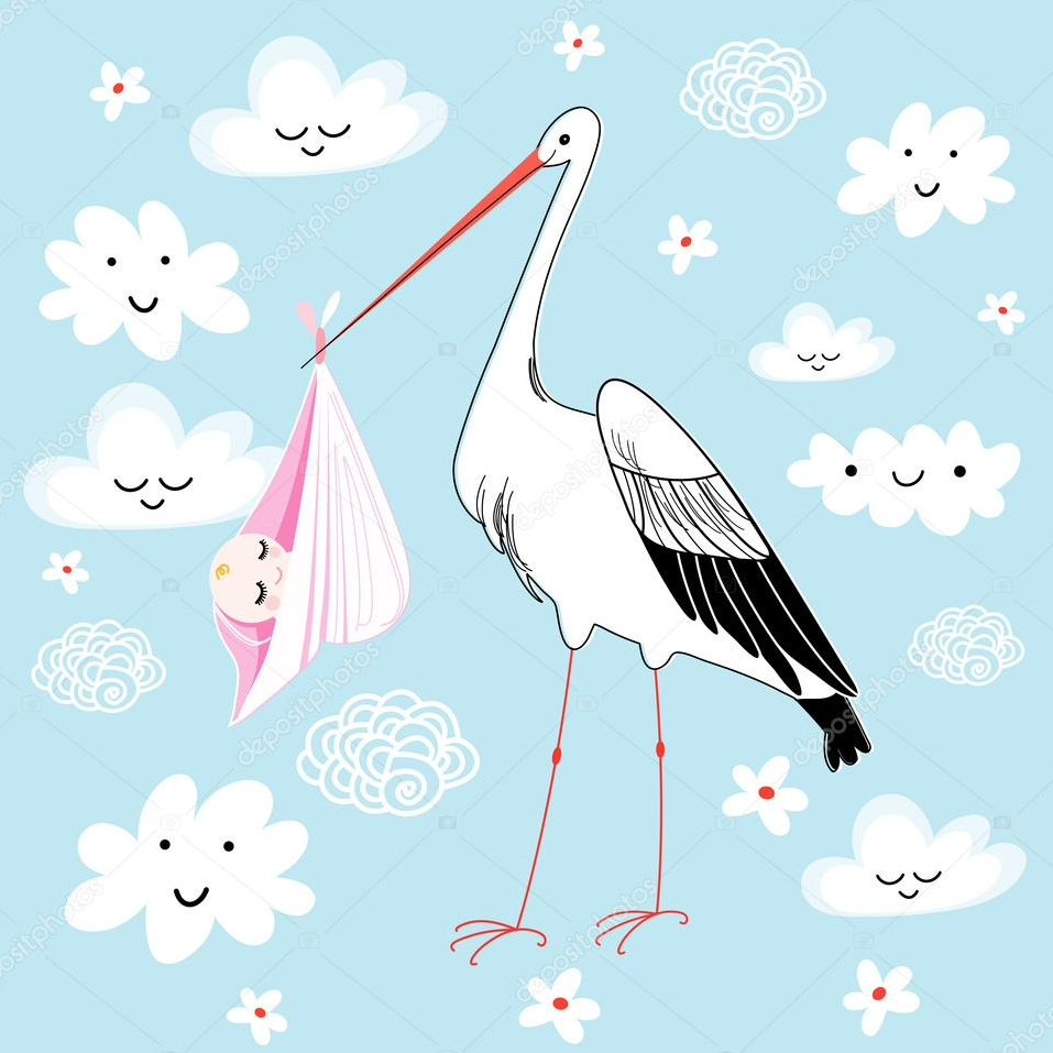 Аист рисунок