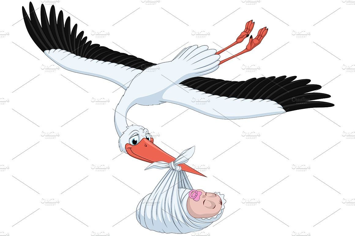 Аист принес мальчика