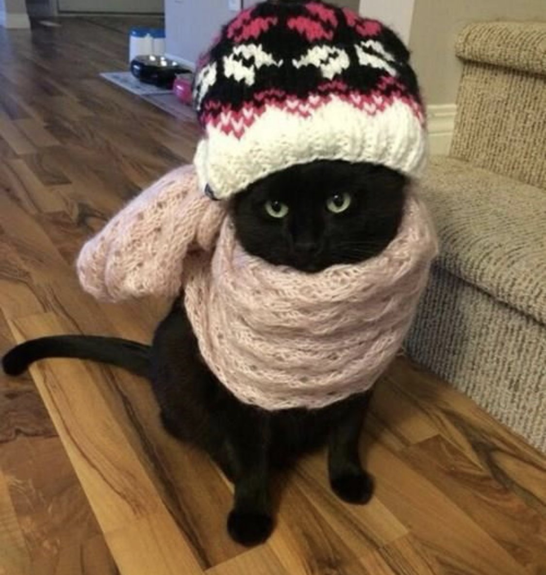 Доброе морозное утро прикольные