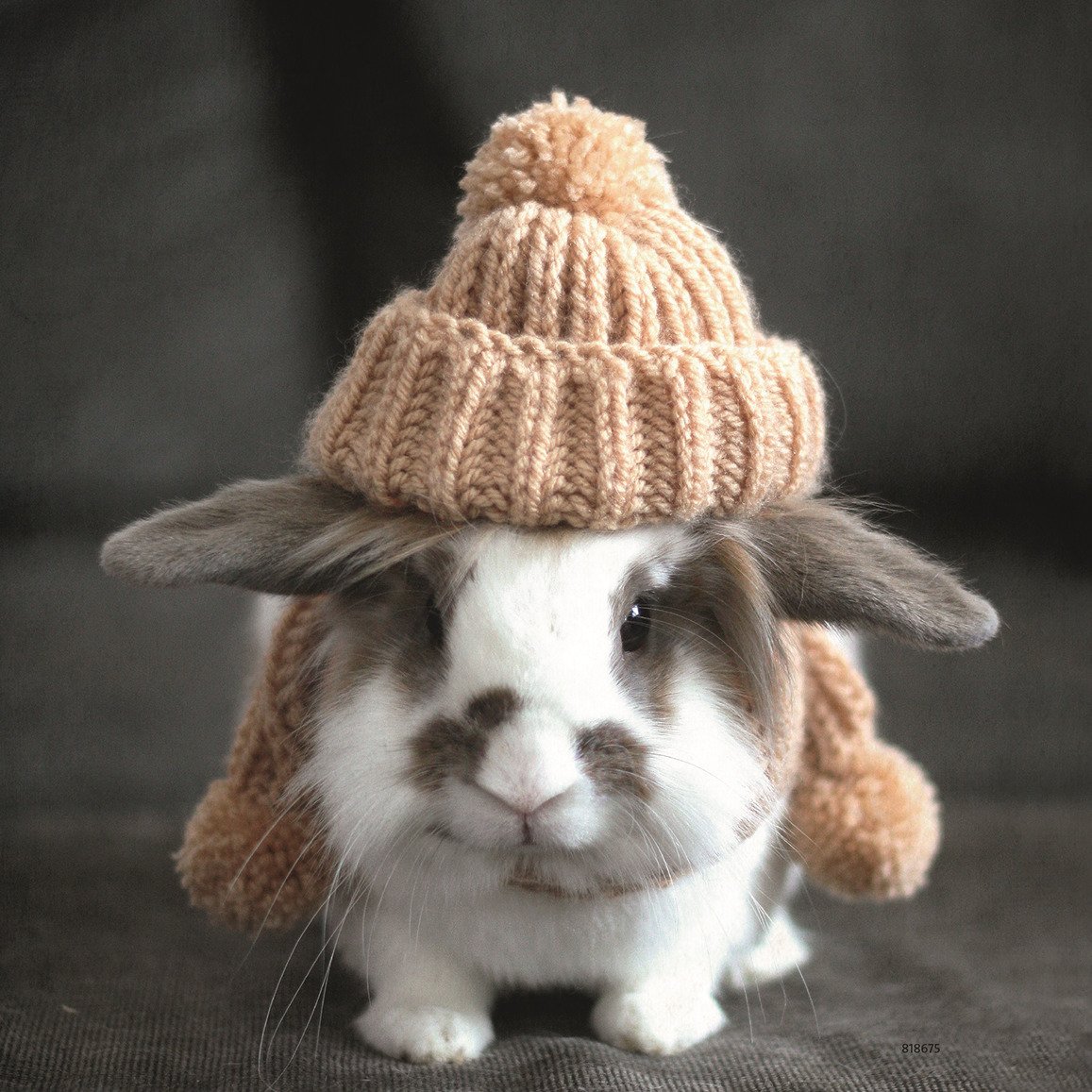 Уютные иллюстрации чай