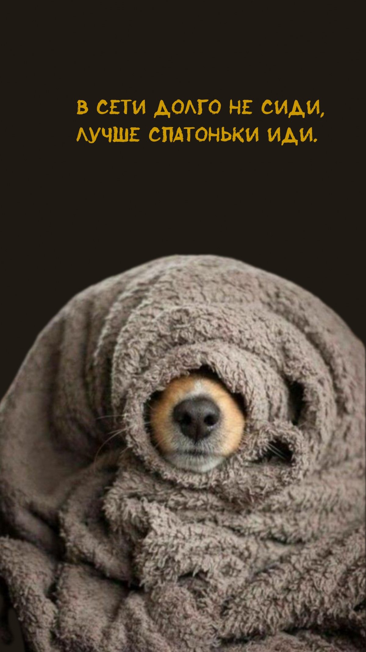 Кот в кофте и шапочке