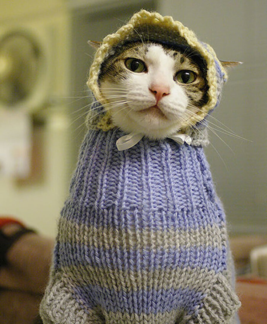 Укутанный в одеяло